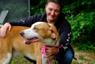 Person affectionately holding a brown and white dog